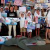 Shark Development Program - Image 3