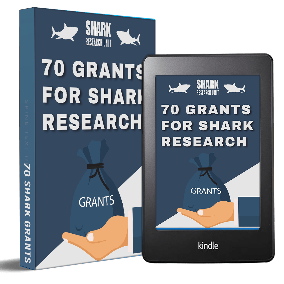 shark research opportunities for high school students